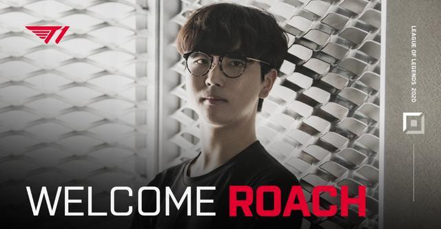 余的建议 余的建议