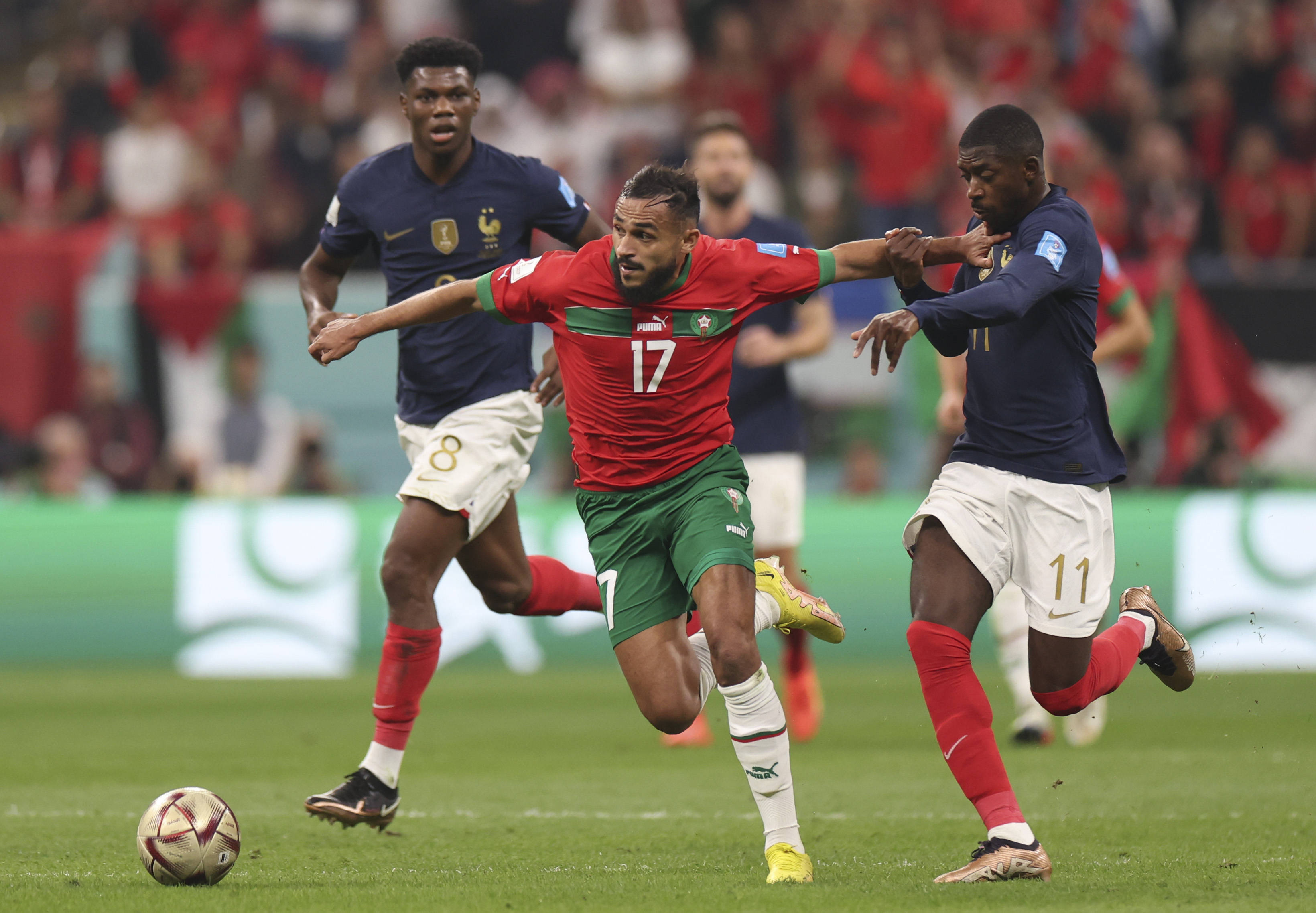 更拥有丰富 更拥有丰富