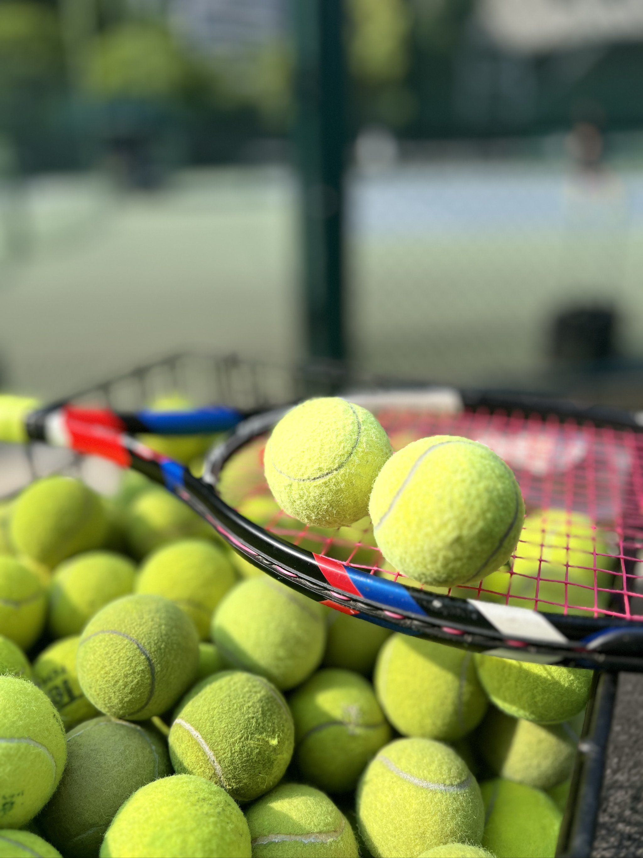 还向我们揭 还向我们揭